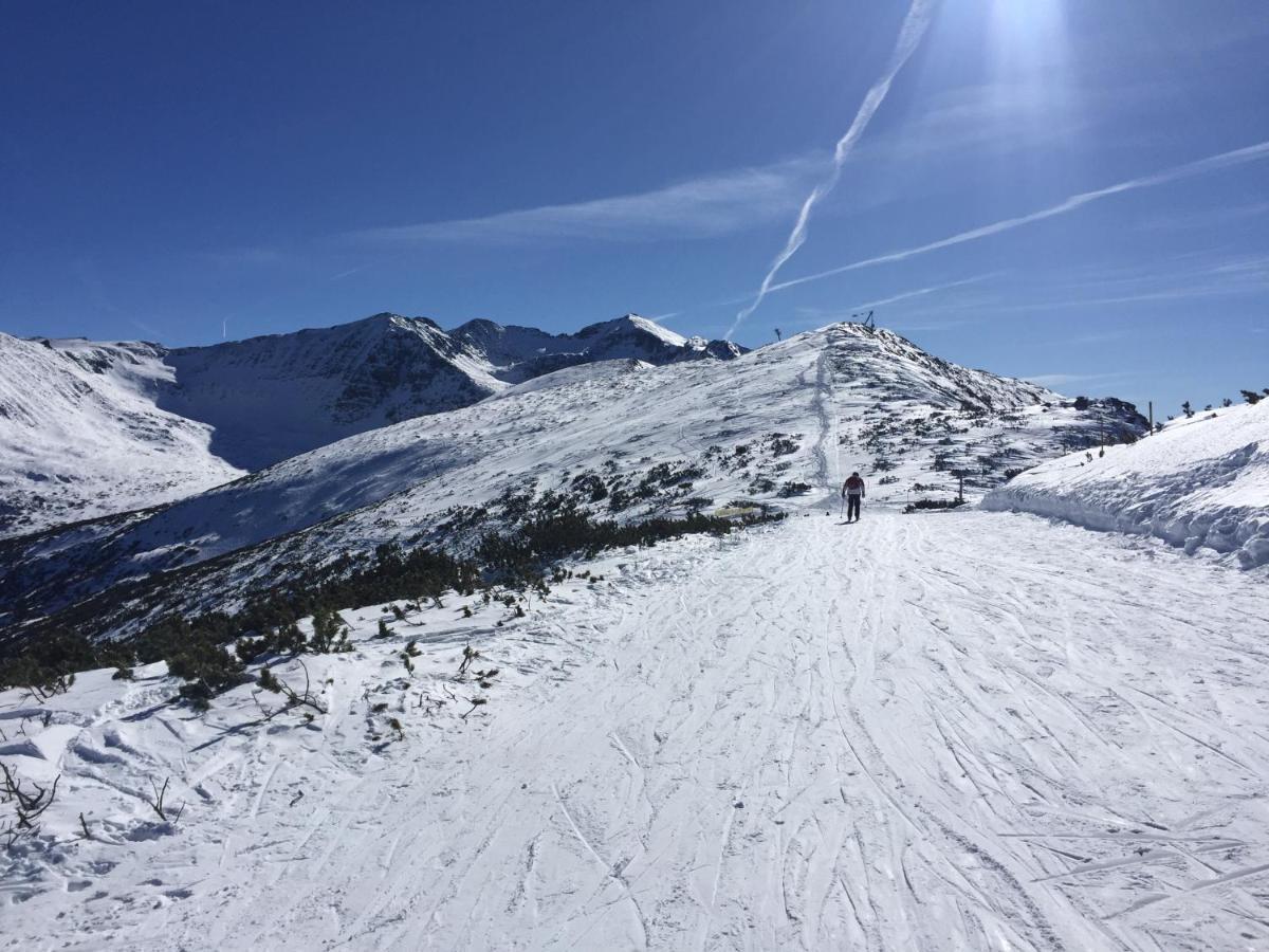 Apartments & Rooms Royal Plaza Borovets Kamer foto